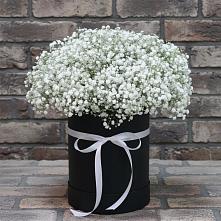 Цветочная композиция из Гипсофила в шляпной коробке #REPLACE_PRED# Октябрьском